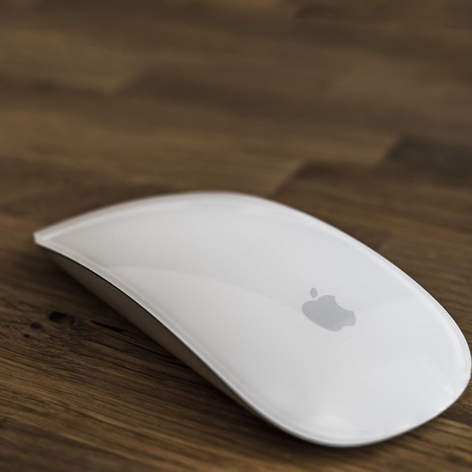 mouse with fruit logo