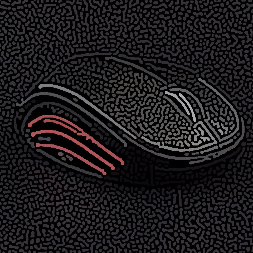 tall mouse on black background